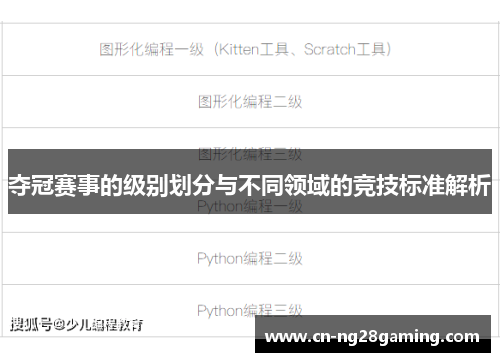 夺冠赛事的级别划分与不同领域的竞技标准解析