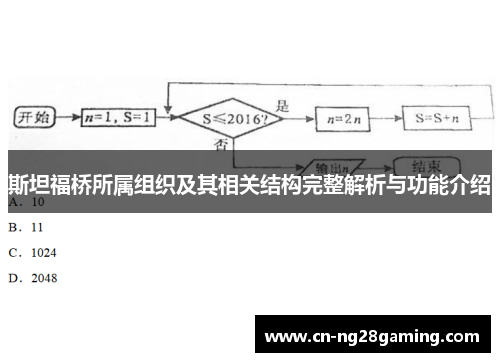 斯坦福桥所属组织及其相关结构完整解析与功能介绍