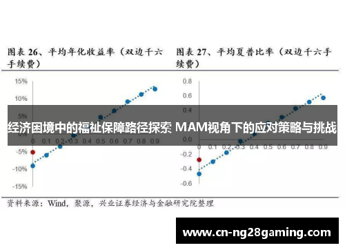 经济困境中的福祉保障路径探索 MAM视角下的应对策略与挑战