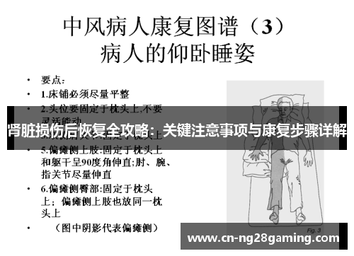 肾脏损伤后恢复全攻略:关键注意事项与康复步骤详解 肾脏损伤后恢复全攻略:关键注意事项与康复步骤详解