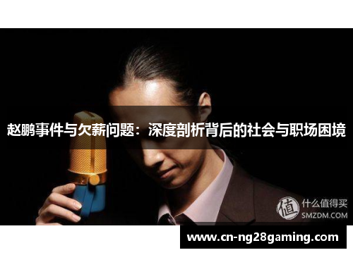 赵鹏事件与欠薪问题：深度剖析背后的社会与职场困境